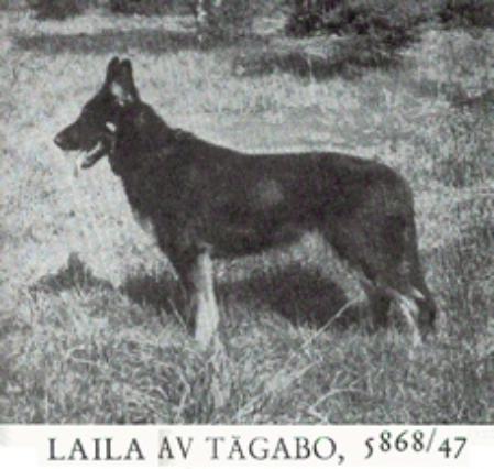 Laila Av Tågabo
