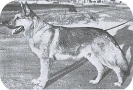 Effendi Av Klodoburg