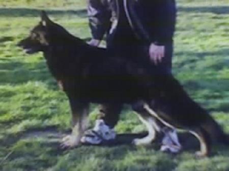 Ary von der Röhrenfurth