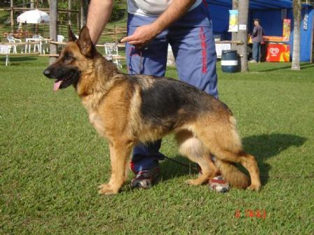 Qually do Vale de São Ernesto