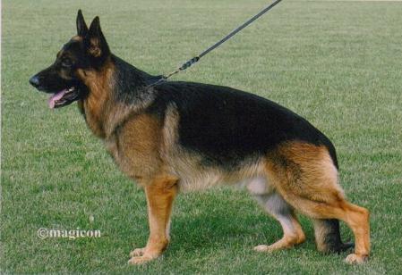 VA5 Riccor von Salerno