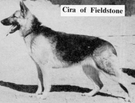 Cira of Fieldstone