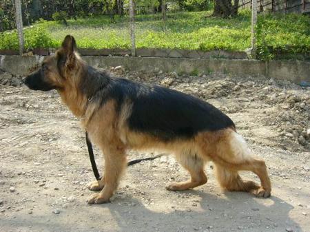 EXCELLENT Tania de Astoria