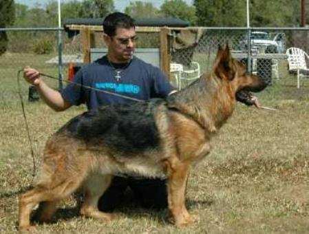 VA Yunno vom Hühnegrab