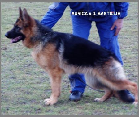 Aurica von der Bastillie