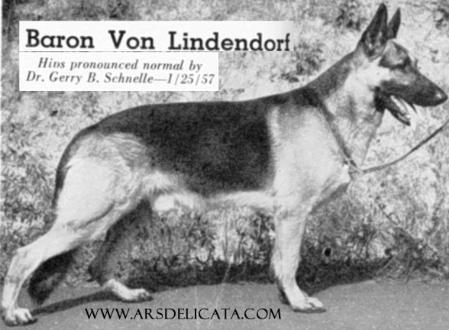 Baron von Lindendorf