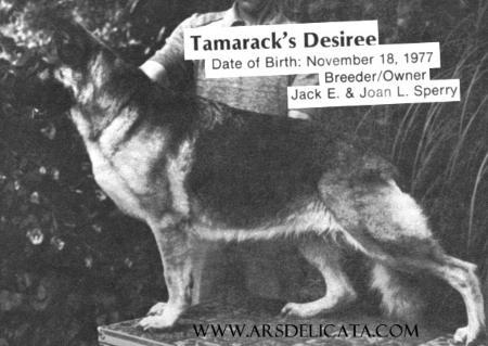 Tamarack's Desiree