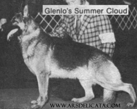 Glenlo's Summer Cloud