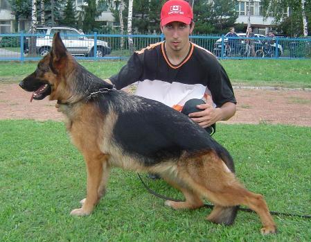 V Yorga van Contra (2002) Larus x Lea