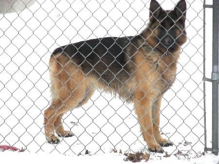 Greta von Haus aus Bade