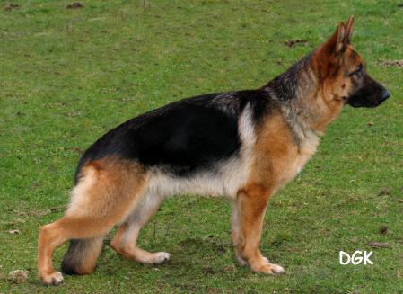 V Ursy van Dan Alhedy's hoeve