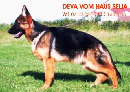 deva vom haus selia