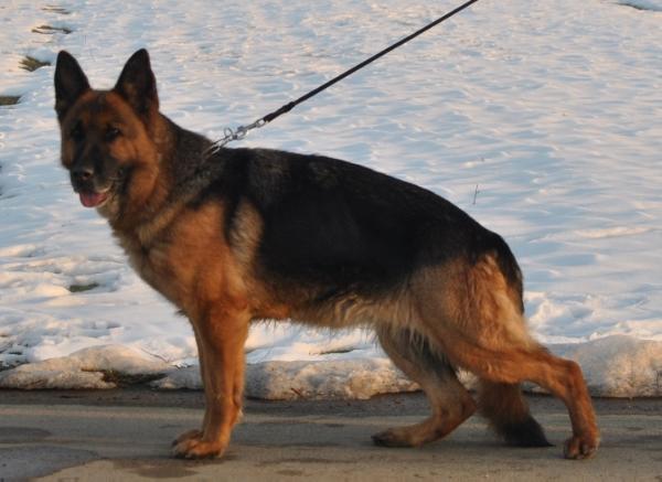 V Andra vom Römersteig