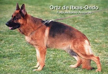 VA1 SPAIN 1996 Ortz de Itxas-Ondo