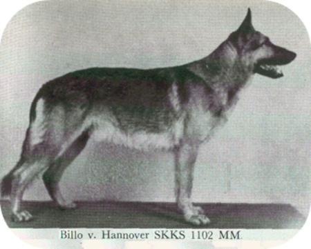 Billo v Hannover
