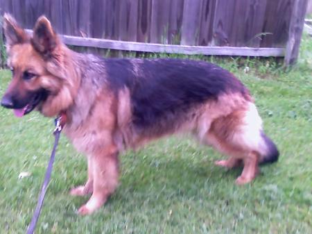 Abigal Von Der Mueller