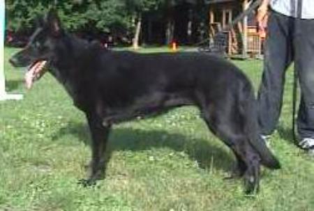 Zarah van't Leefdaalhof