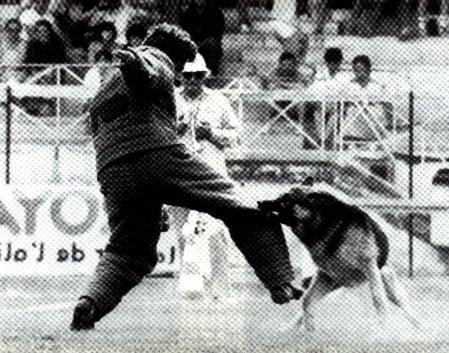 Onix du Soleil Ardent