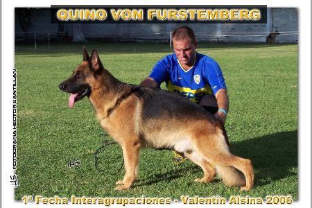 Quino Von Furstemberg