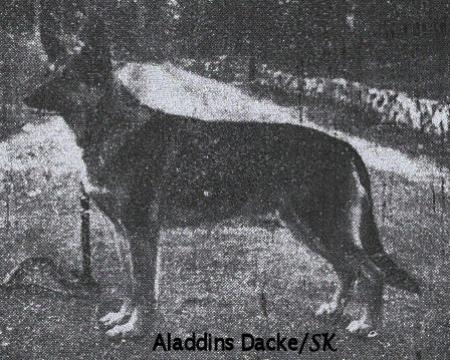 Aladdins Dacke