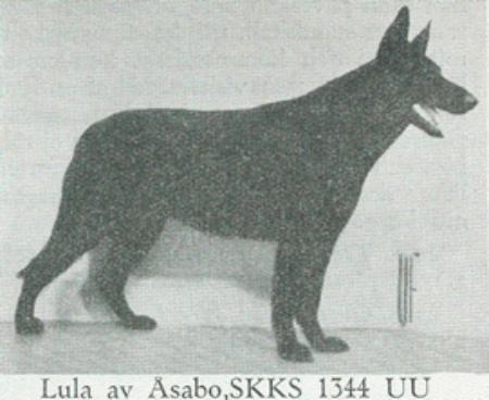 Lula Av Åsabo