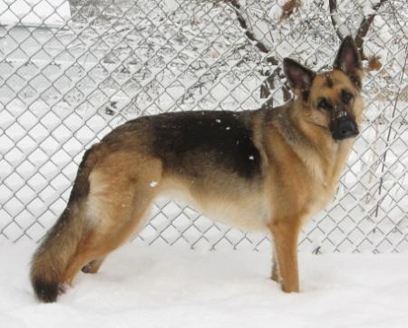 Ca-Ji's New Years Mojo