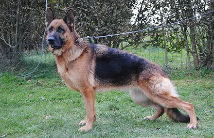 farrie de la béadrie