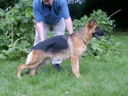 Ornella vom Heinrichplatz