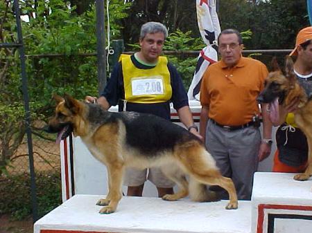 V Gal I de Dois Pinheiros