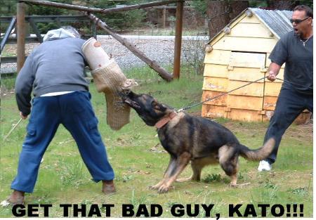 NATIONAL CH Zairen'S Pa-Shack-Ungar