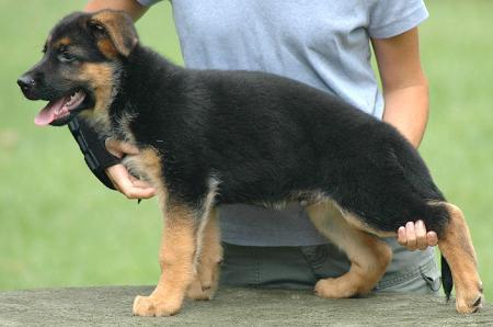 Ukres von der Urbecke