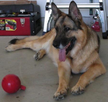 Cierra Von Boeselager