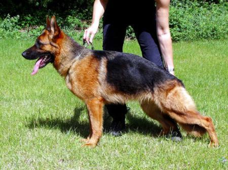 V Bess von der Urbecke