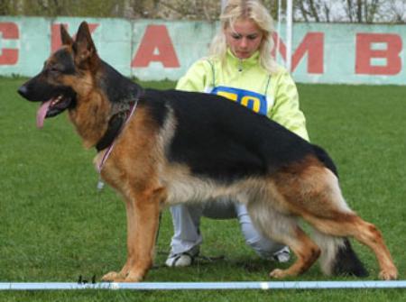 V Winer von Roten Blitz