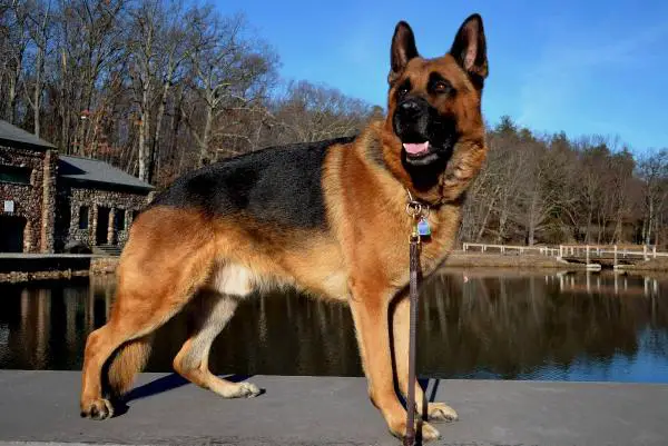 Yulius vom Roten Feld