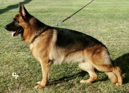 VA (MEXICO) Jalù degli Achei