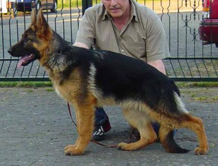 York von der Sandsteinküste