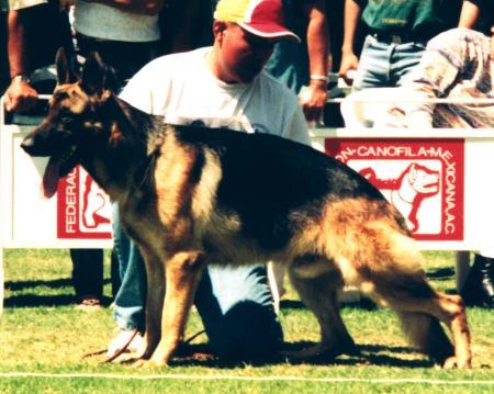 SG Barón von Wolf Lyra