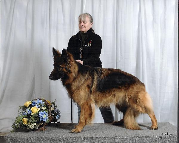 Tersha's Magnum Force