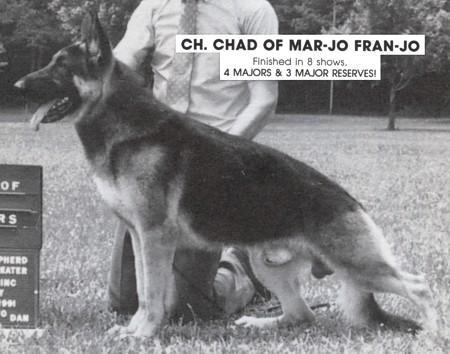 CH Chad of Mar-Jo Fran-Jo