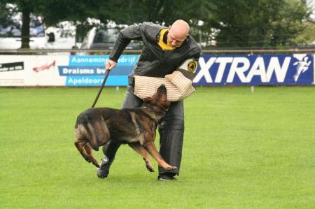 Cashan vom Cap Arkona