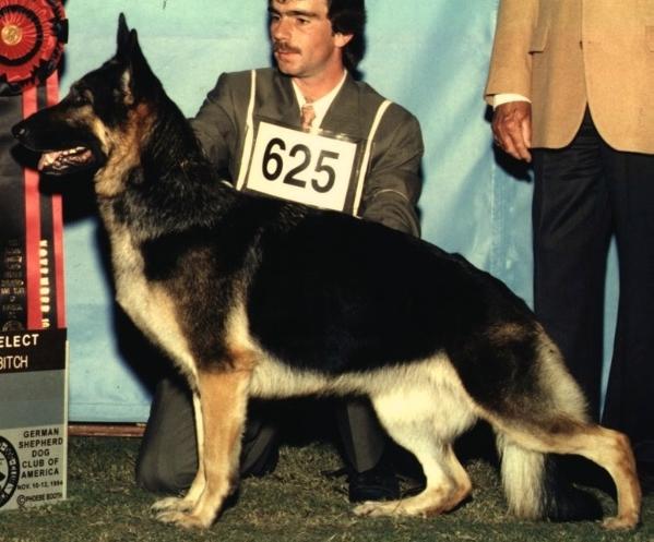 Bertalan's Miss Sassafras