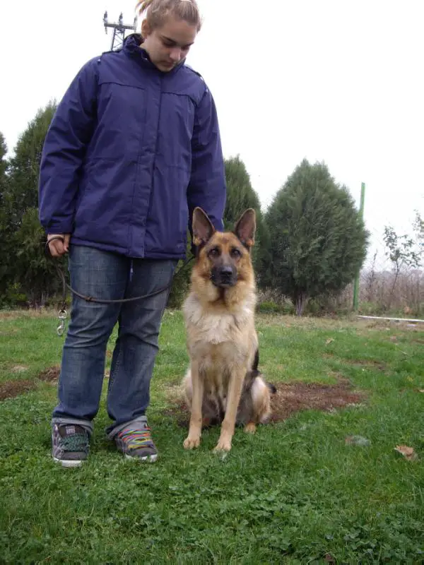 V I Shira aus Famke's Zauberwald