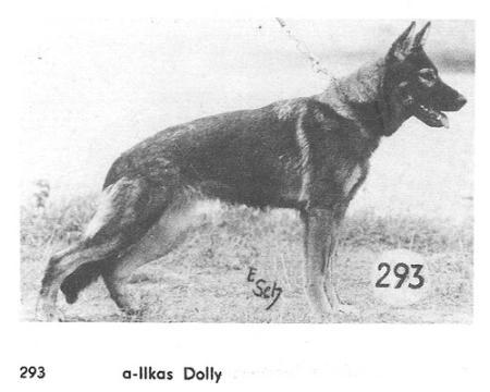 Ilka's Dolly