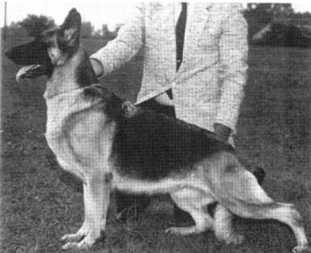 Amanda of Lebensraum