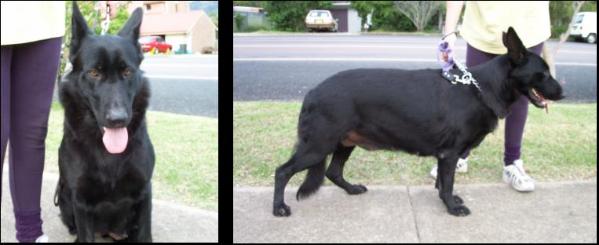 Malachi Dangerous Dolly