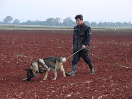 Eeko von Spitzbubezwinger