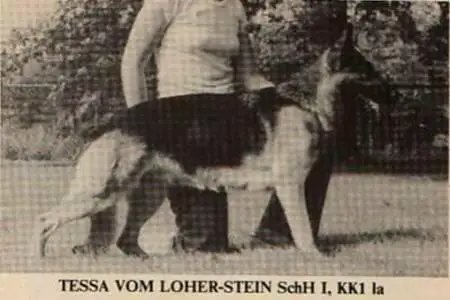 Tessa von Loher-Stein