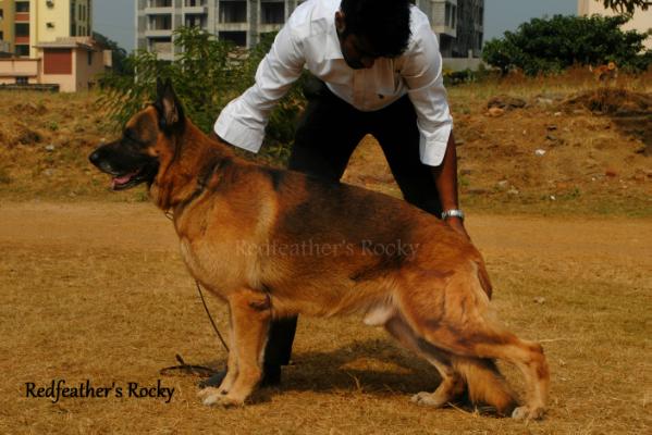 Redfeather's Rocky