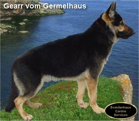 Gearr vom Germelhaus